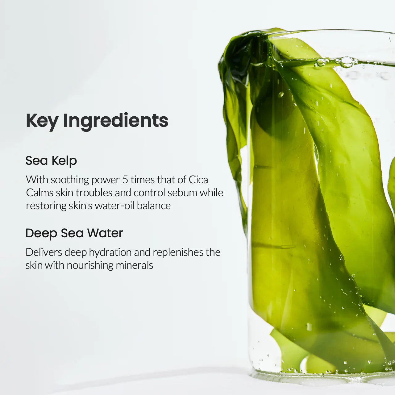 [Biodance] Refreshing Sea Kelp Real Deep Mask [34g]