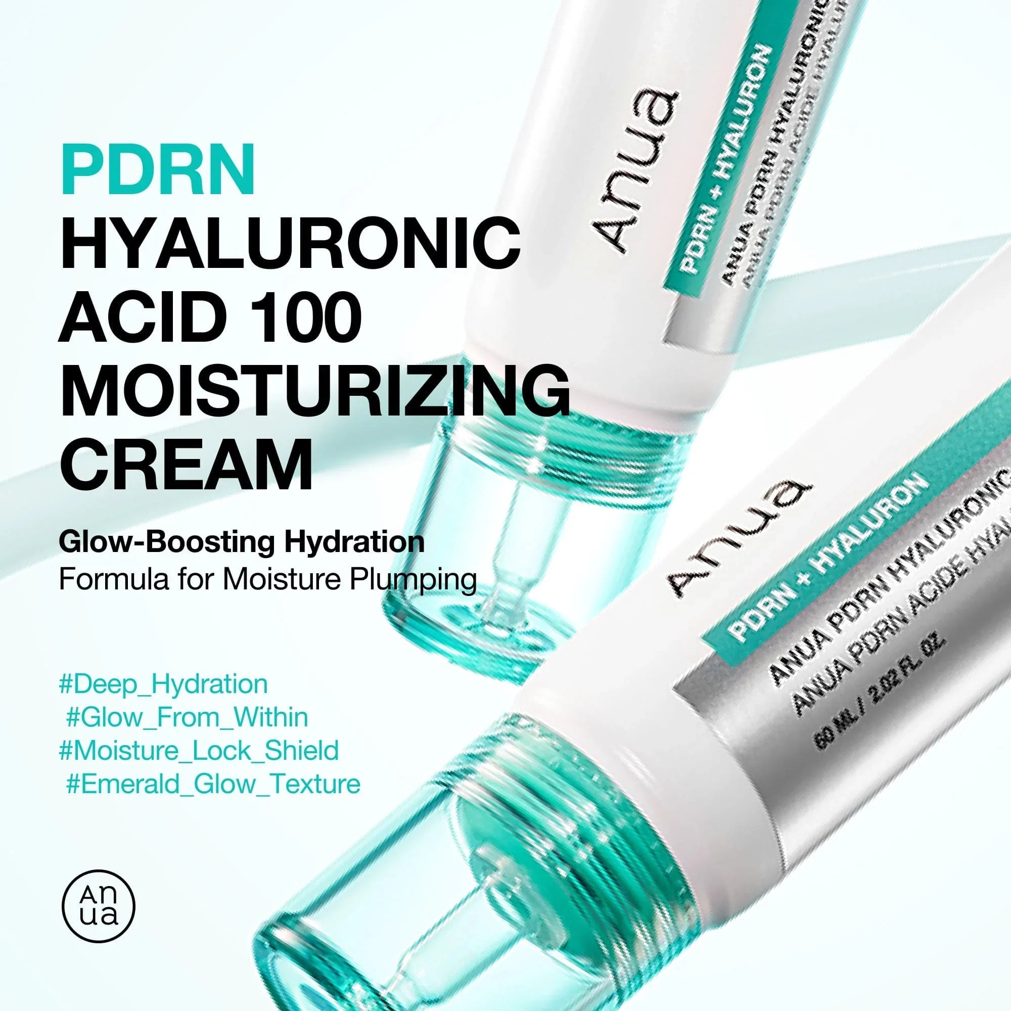 PDRN Hyaluronic Acid 100 Moisturizing Cream [60ml]