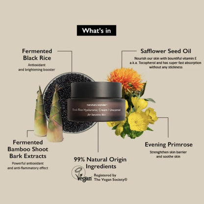 [haruharu wonder] Black Rice 10 Hyaluronic Cream Unscented [50ml]